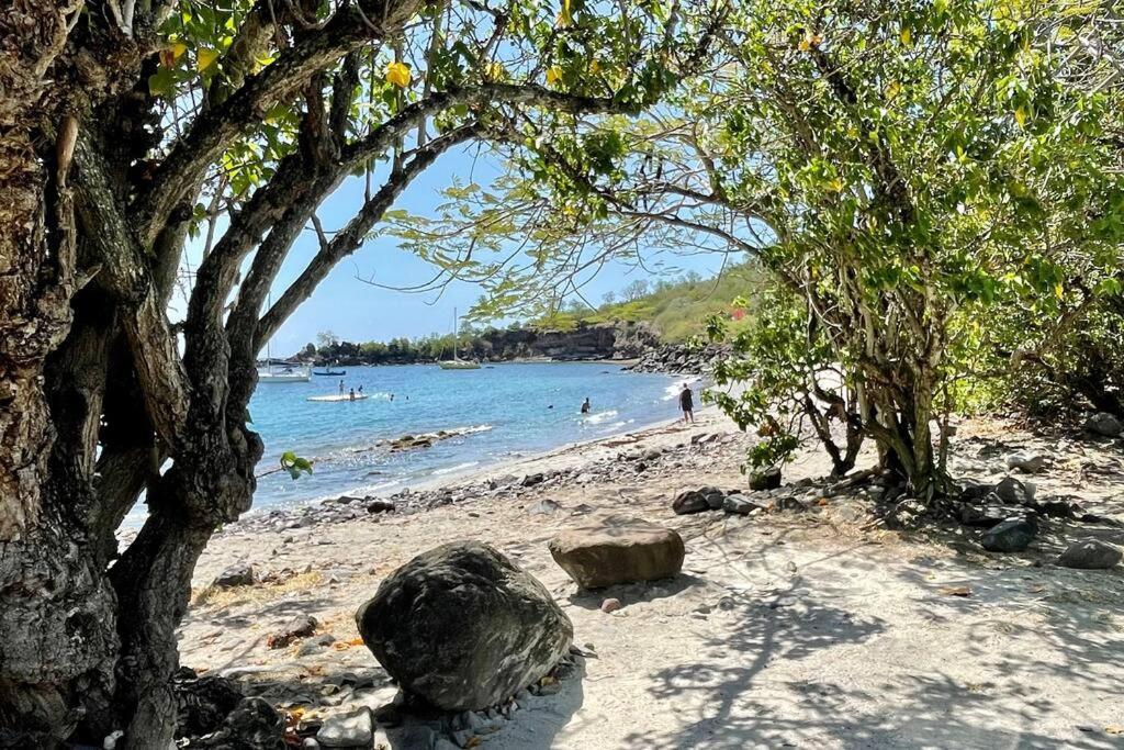 Location Gite Bungalow A 70M De La Plage Bouillante Buitenkant foto