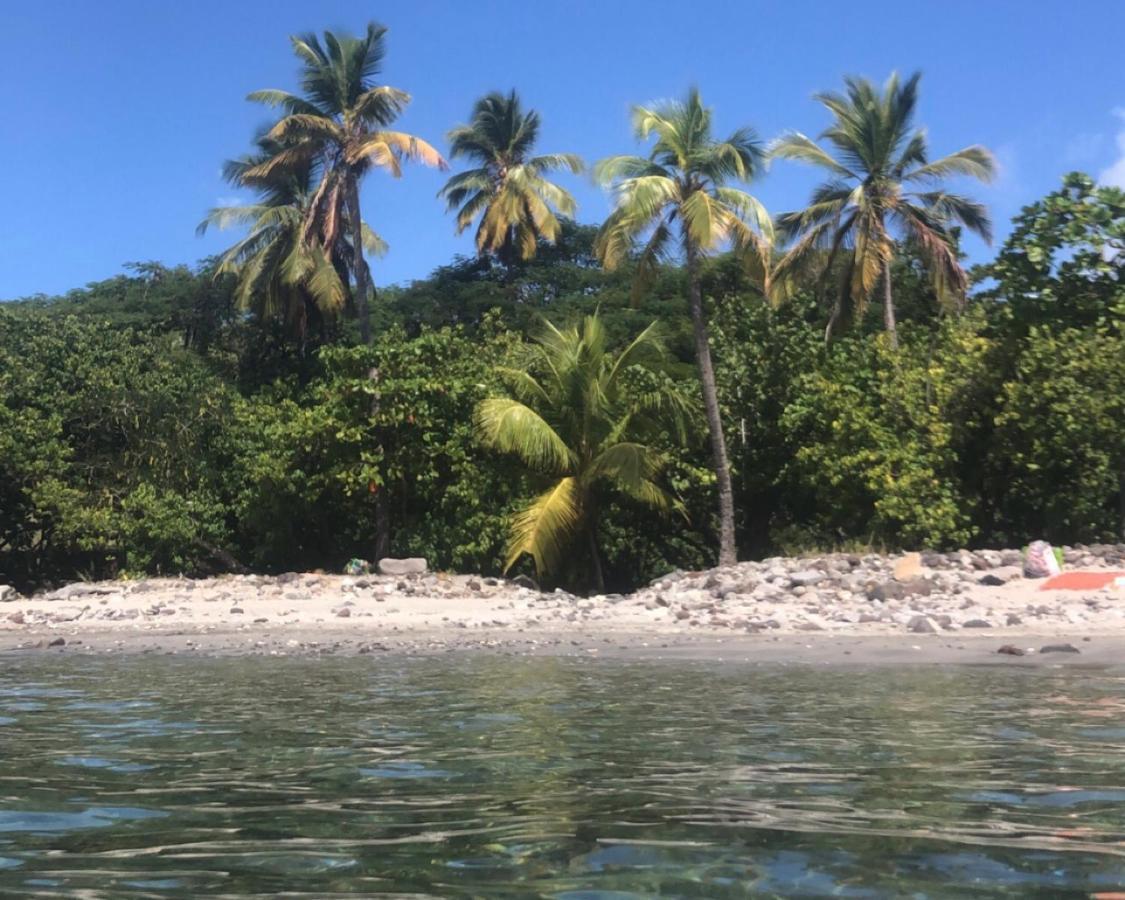 Location Gite Bungalow A 70M De La Plage Bouillante Buitenkant foto